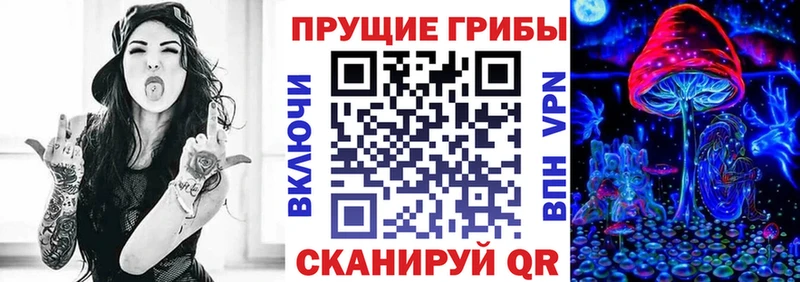 Галлюциногенные грибы Psilocybine cubensis  Краснознаменск 