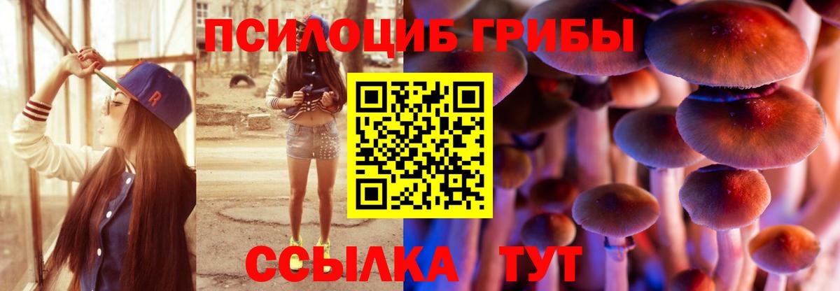 Галлюциногенные грибы GOLDEN TEACHER Краснознаменск
